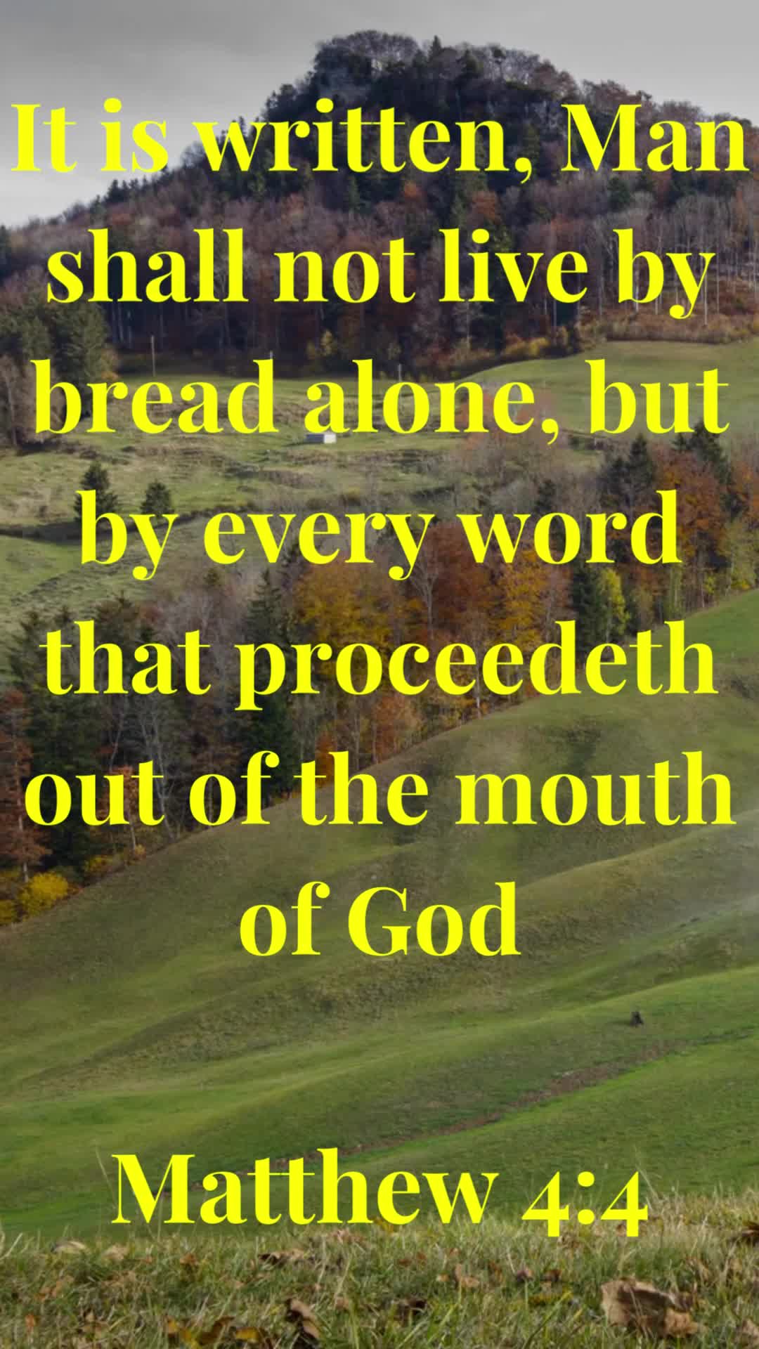 man-shall-not-live-by-bread-alone-but-by-every-word-that-proceedeth