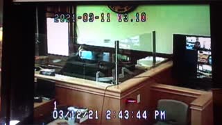 MOSES is EVIDENCE says Judge Mindy Walker. 3-12-2021 Evidentiary Hearing