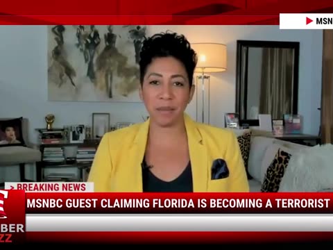 Watch: MSNBC Guest Claiming Florida Is Becoming A Terrorist State