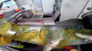 AWESOME AUTOMATED FISHING VESSELS