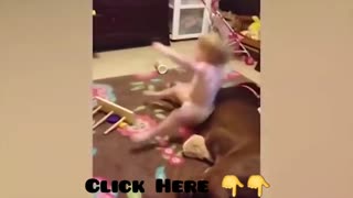 Cute Dogs Playing With Little Baby #shorts