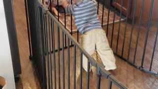 Baby Gate Can't Hold Back Determined Baby