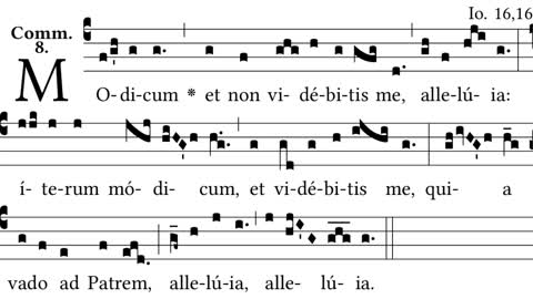 Modicum et non videbitis me - communion antiphon for 3rd Sunday after Easter