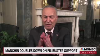 Schumer Admits Democrats Are Terrified of Losing Midterms
