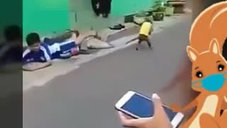 monkey causes serious accident