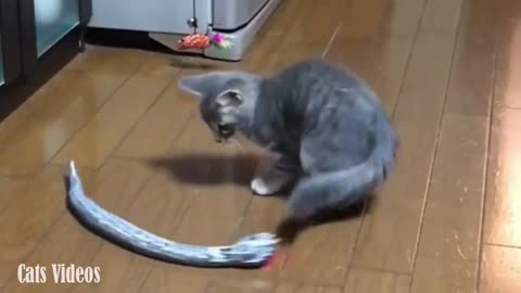 A Cat Afraid of a Snake Game in A Very Funny Way
