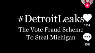 Detroit Election Fraud Instructions