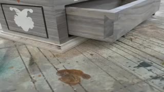 Creative Woodworking Ideas - Woodworking Hunter