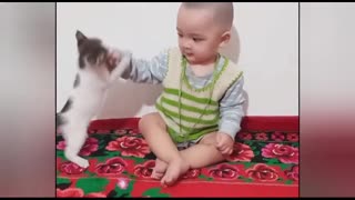 cat attack protecting her baby