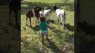FUNNY Animals Trolling Babies and Kid 5 Funny Babies and Pets Compilation