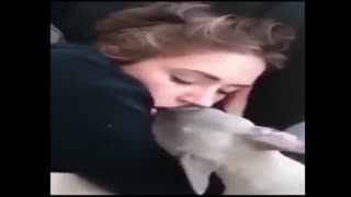 dog kissing cute owner