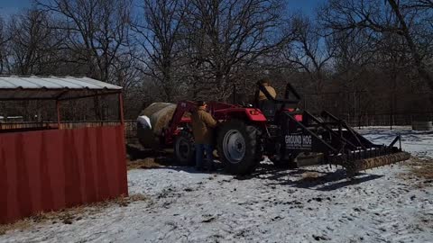 Puttin' out hay