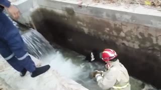 Video: Bomberos de Floridablanca rescataron un perro que cayó en una bocatoma de agua