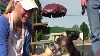 Dog Eats Ice Cream