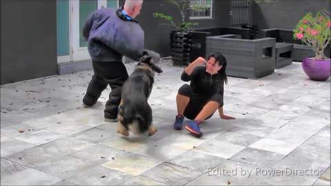 Step by Step! Guard Dog Training