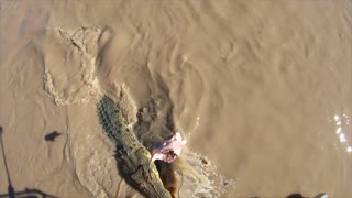 Feeding Ferocious Jumping Crocodiles