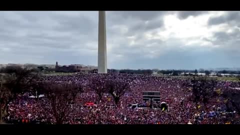 Massive crowd in DC
