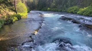 video flowing river in oregon