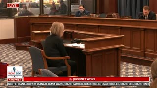 Witness #46 testifies at Michigan House Oversight Committee hearing on 2020 Election. Dec. 2, 2020.