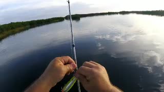 Saltwater fishing