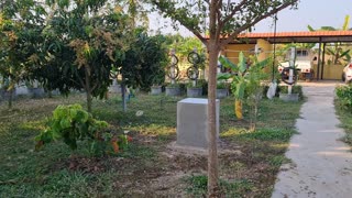 2 years of work building a tropical fruit and flower garden garden in Thailanf