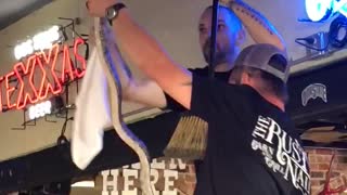 Snake in Ceiling Fan Crashes Wedding Anniversary Party