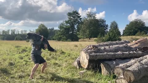 Australian Shepherd Morty doing epic jump in slow motion