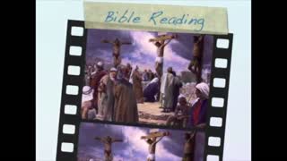 November 5th Bible Readings
