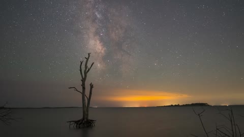 Stunning "lone tree" time lapse of Milky Way Galaxy