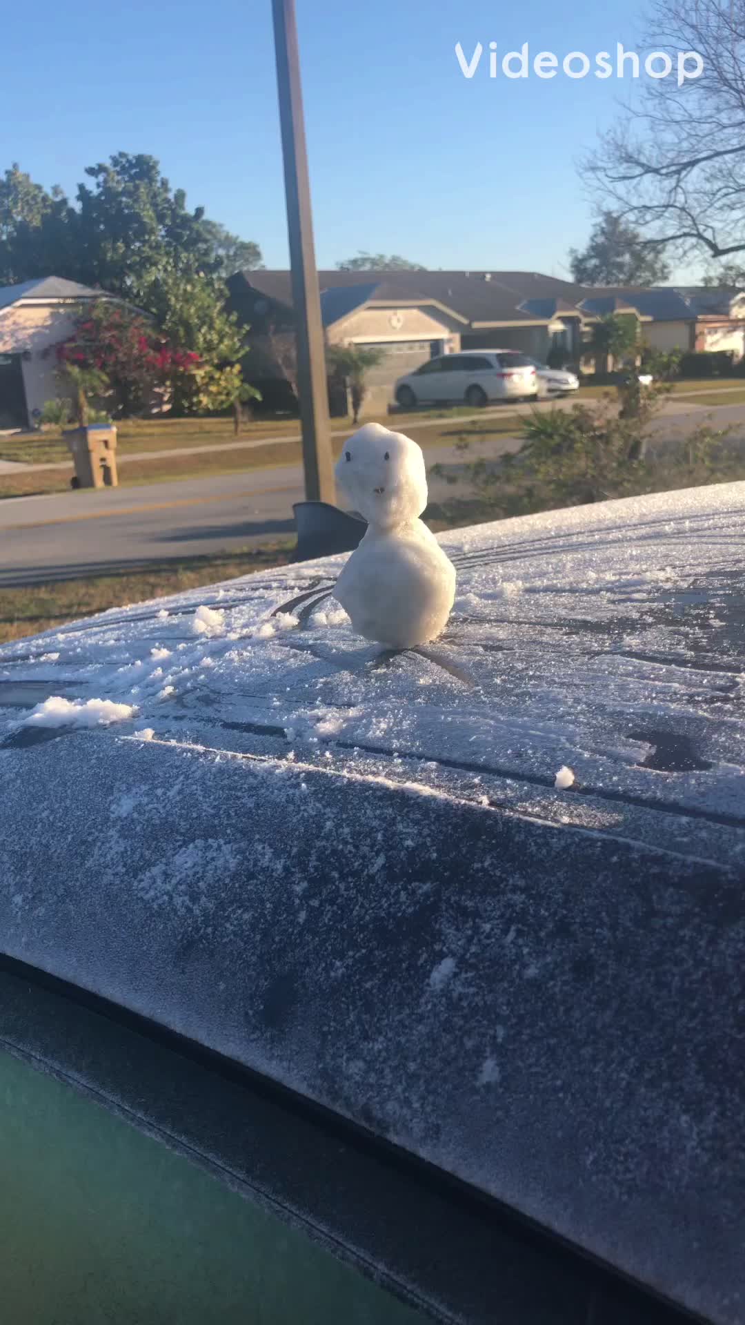 It is so cold in Florida i made a snowman