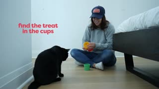 30 simple trick to train your cat