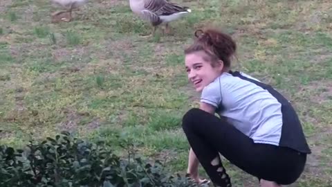 Woman taunts goose, gets dose of instant karma