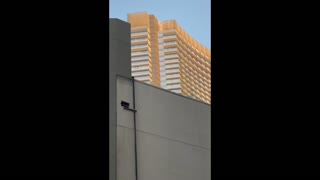Man Climbs Skyscraper to Protest Covid Mandates