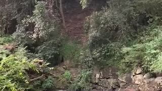 Guy Falls Into Water While Launching Off Of Cliff Using a Rope Swing