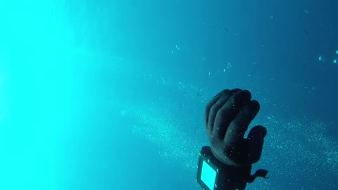 Another Awesome Dive on the Aeolus Wreck 8/30/2021