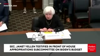 Janet Yellen Asked About IRS Agents Visiting Reporter Matt Taibbi's Home During His Testimony
