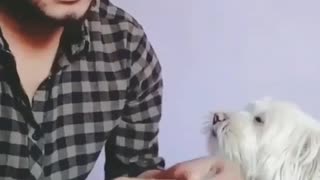 Man Being Funny With His Dog