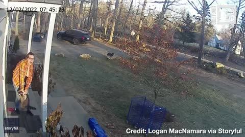 Mom Saves Little Girl from Raccoon Attack, Chucks It Across Yard