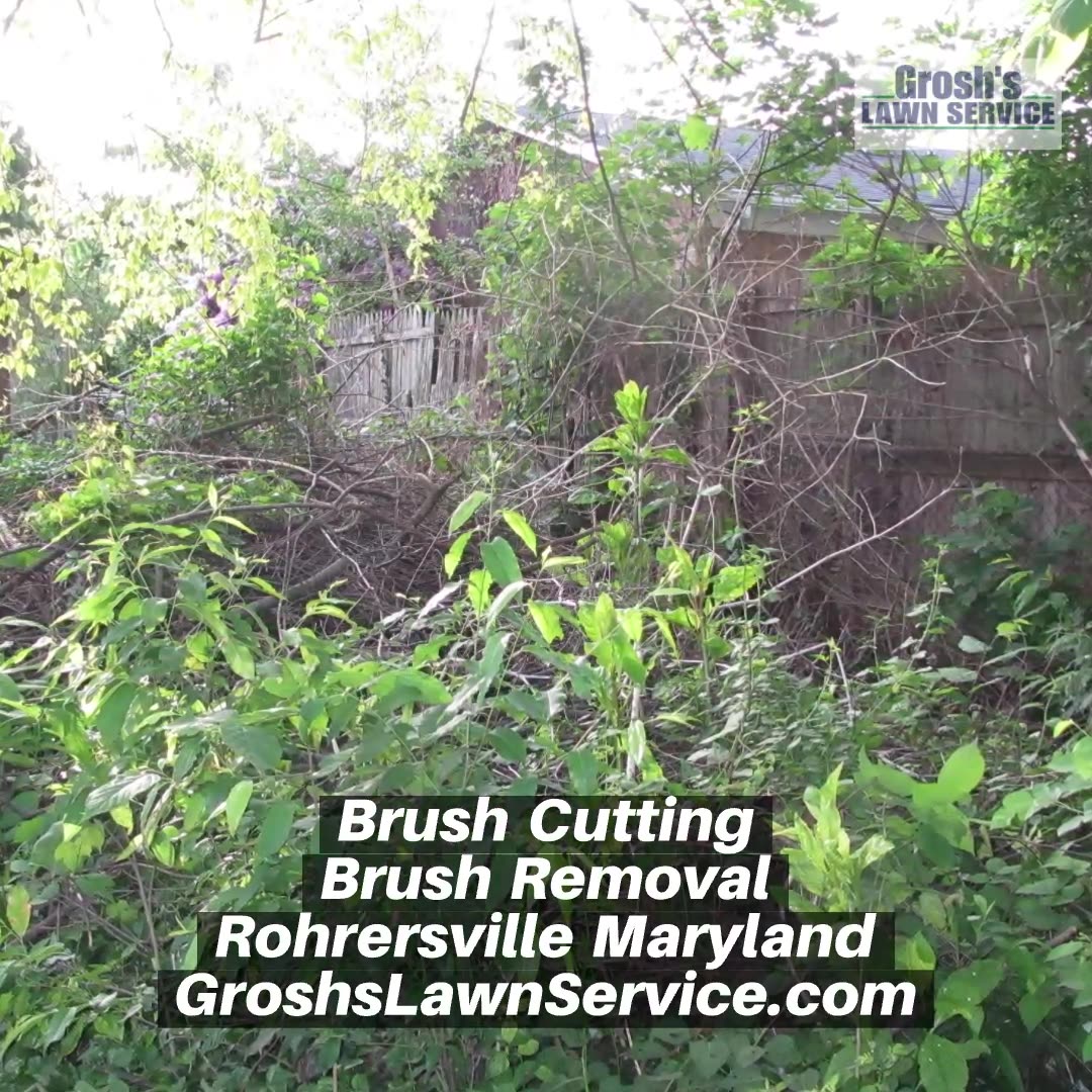 The Best Brush Cutting Rohrersville Maryland Brush Removal