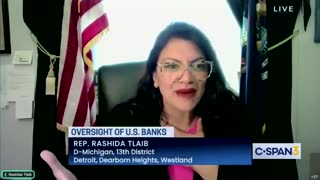 Radical Leftist Rep. Rashida Tlaib Gets DESTROYED By JP Morgan CEO