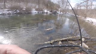 Spring Creek Winter Trout Fishing Round 2
