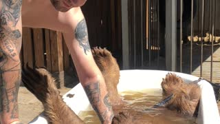 Bear Enjoys Relaxing Bath Time