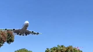 Plane landing on the airport