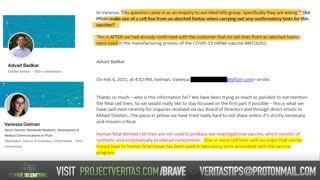 Pfizer Whistleblower LEAKS Execs Emails EXPOSING Suppression of Covid Vax Info From Public