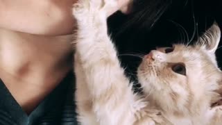 Kitty Gives Fantastic Facial Massage