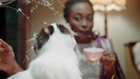 A Woman Petting A Cat While Having Tea