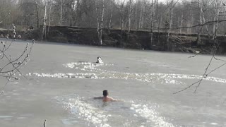 Dog Doesn't Wait for Saving from Frozen River