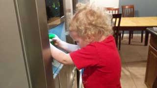 Baby opens the fridge