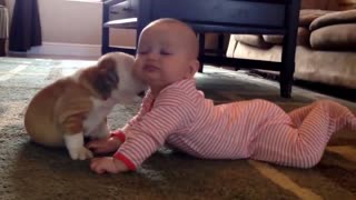 CUTE BABIES LOVE FUNNY DOGS!