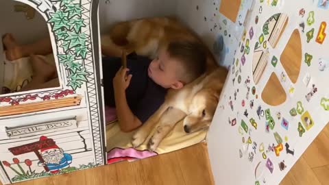 Little boy uses his Shiba Inu best friend as his own personal pillow